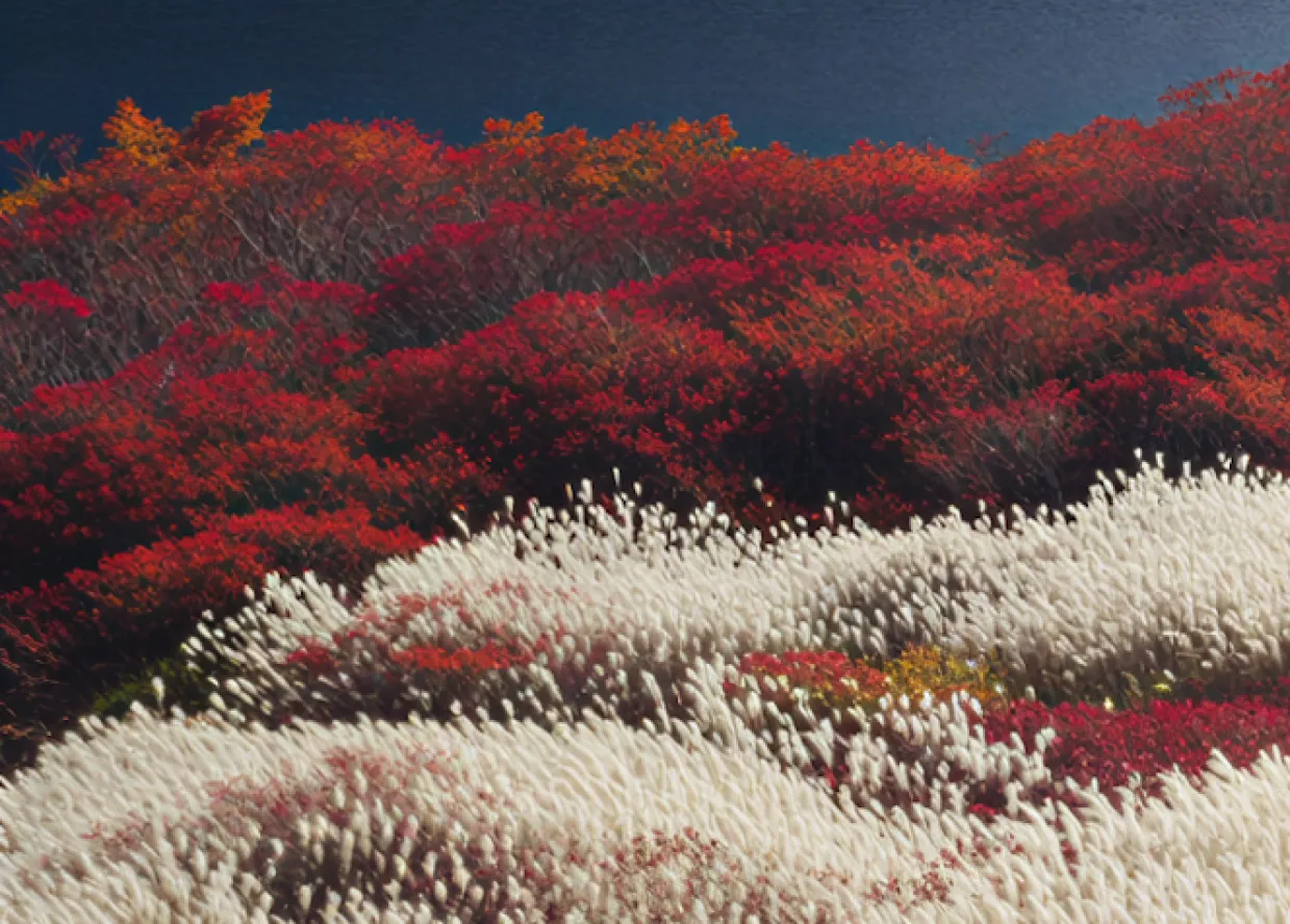 Dense landscape of white fluffy plants in the foreground with vibrant red and orange foliage in the background under a clear sky.