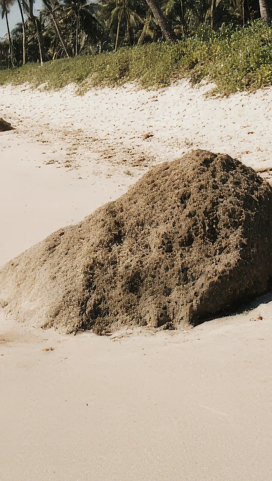 Large porous rock on a sandy tropical beach with palm trees and green vegetation in the background.